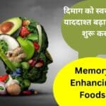 दिमाग को स्वस्थ रखने और याददाश्त बढ़ाने है तो खाना शुरू कर दे ये 5 Memory Enhancing Foods, ठीक हो जाएगी भूलने की आदत