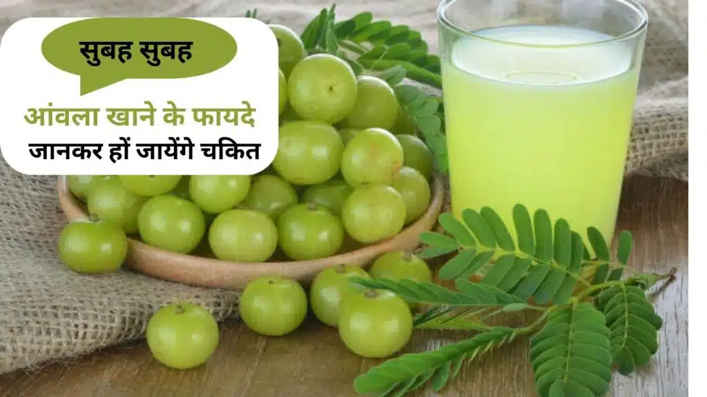 Benefits Of Amla: सुबह सुबह आंवले सेवन करने से मिलते हैं औषधि से ज्यादा फायदे, जानें किसे खाना चाहिए