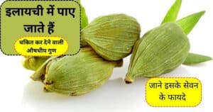 Cardamom Eating Benifits: दिन में रोज दो इलायची सेवन करने से सेहत को मिलते हैं ये 6 बड़े फायदे