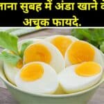 Egg Eating Benefits: रोजाना सुबह अंडा खाने के 7 अचूक फायदे.