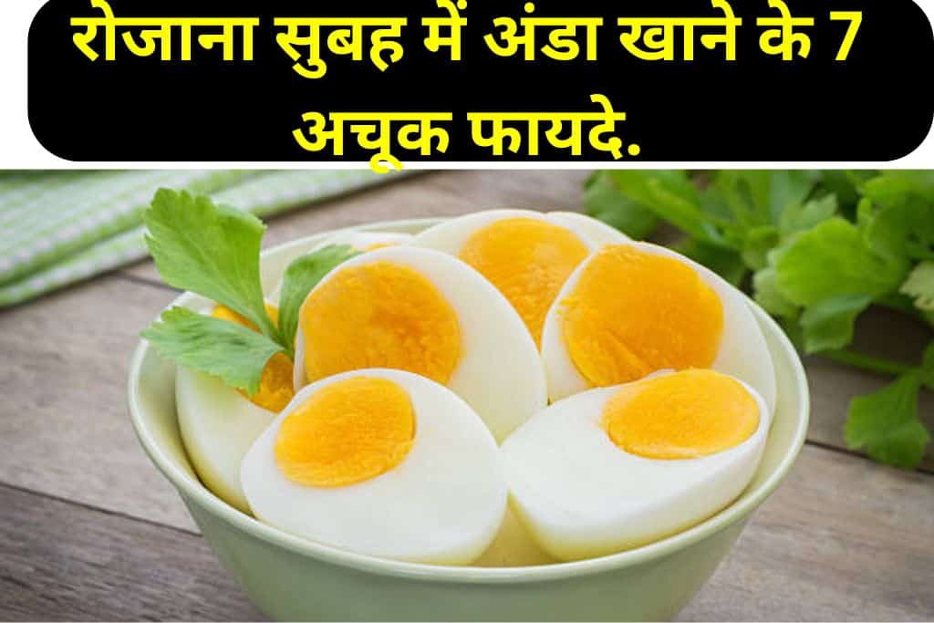 Egg Eating Benefits: रोजाना सुबह अंडा खाने के 7 अचूक फायदे.