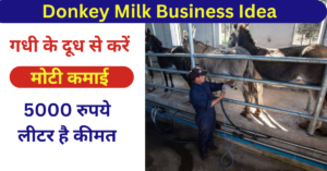 Donkey Milk Business Idea: गधी के दूध से करें मोटी कमाई, 5000 रुपये लीटर है कीमत