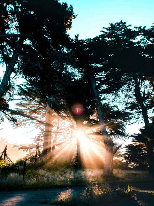 casey-horner-_wGbMD-Lf0w-unsplash