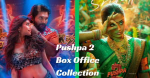 Box Office पर Pushpa 2 की आंधी, अल्लू अर्जुन की फिल्म ने की इतने सौ करोड़ की कमाई, तोड़े सारे रिकॉर्ड, बॉलीवुड के सुपरस्टार फेल