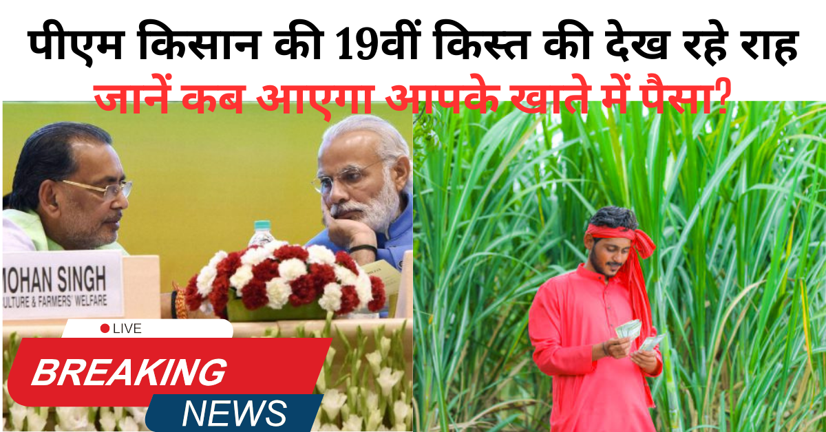 Pm Kisan Samman Nidhi 2024- 25: पीएम किसान की 19वीं किस्त की देख रहे राह, जानें कब आएगा आपके खाते में पैसा?