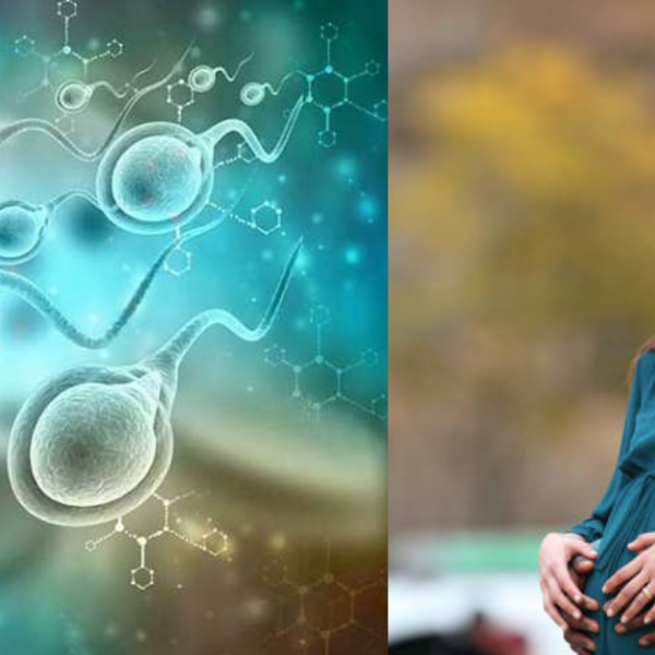 Sperm count to Pregnancy Conceive: पिता बनने के लिए पुरुषों में कितना होना चाहिए स्पर्म काउंट? जानें यहां प्रेग्नेंट होने का नेचुरल तरीका