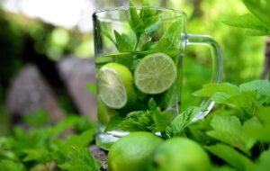 Detox drinks for Body: सुबह की दिनचर्या में ये 3 डिटॉक्स ड्रिंक्स शामिल करने के अचूक फायदे, दूर हो जाएंगे शरीर के सारे गंदगी