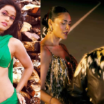 एक्ट्रेस नीतू चंद्रा ने Honey Singh के खिलाफ और अश्लील गानों पर रोक के लिए हाई कोर्ट में दाखिल की याचिका