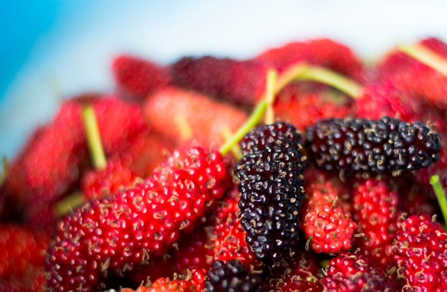 Benefits of Mulberry: शहतूत: सेहत का…