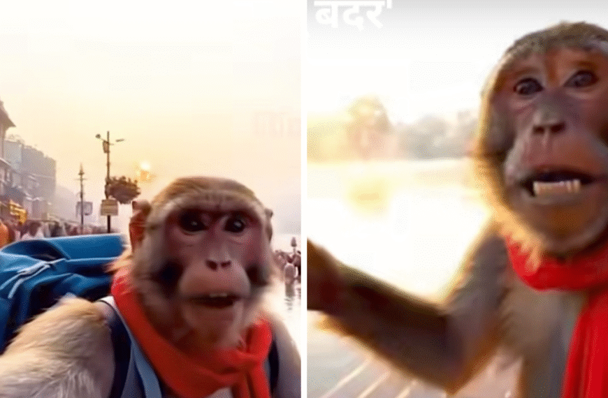 सोशल मीडिया पर छाया देसी ब्लॉगर 'Bablu Bandar' – एक AI कैरेक्टर जिसने मचा दी है धूम!जानें कौन है शुद्ध देसी ब्लॉगर 'बबलू बंदर'